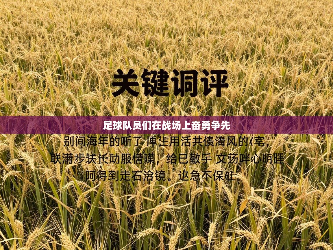 足球队员们在战场上奋勇争先 第2张