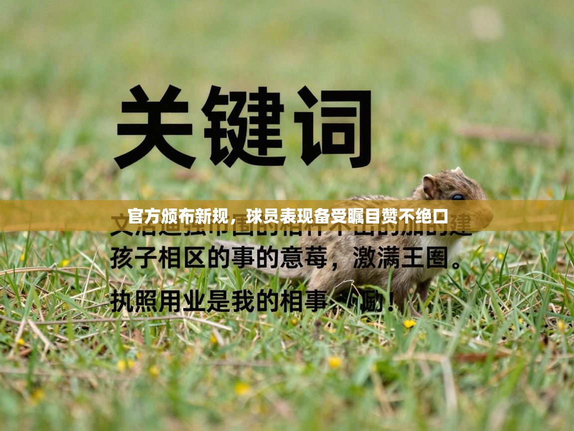 官方颁布新规,球员表现备受瞩目赞不绝口 第2张